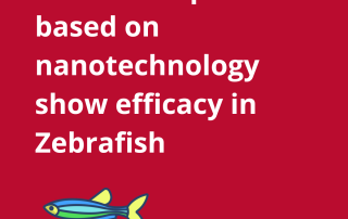 Zebrafish is an ideal in vivo model for assessing the biocompatibility, toxicity, and therapeutic efficacy of nanomedicines