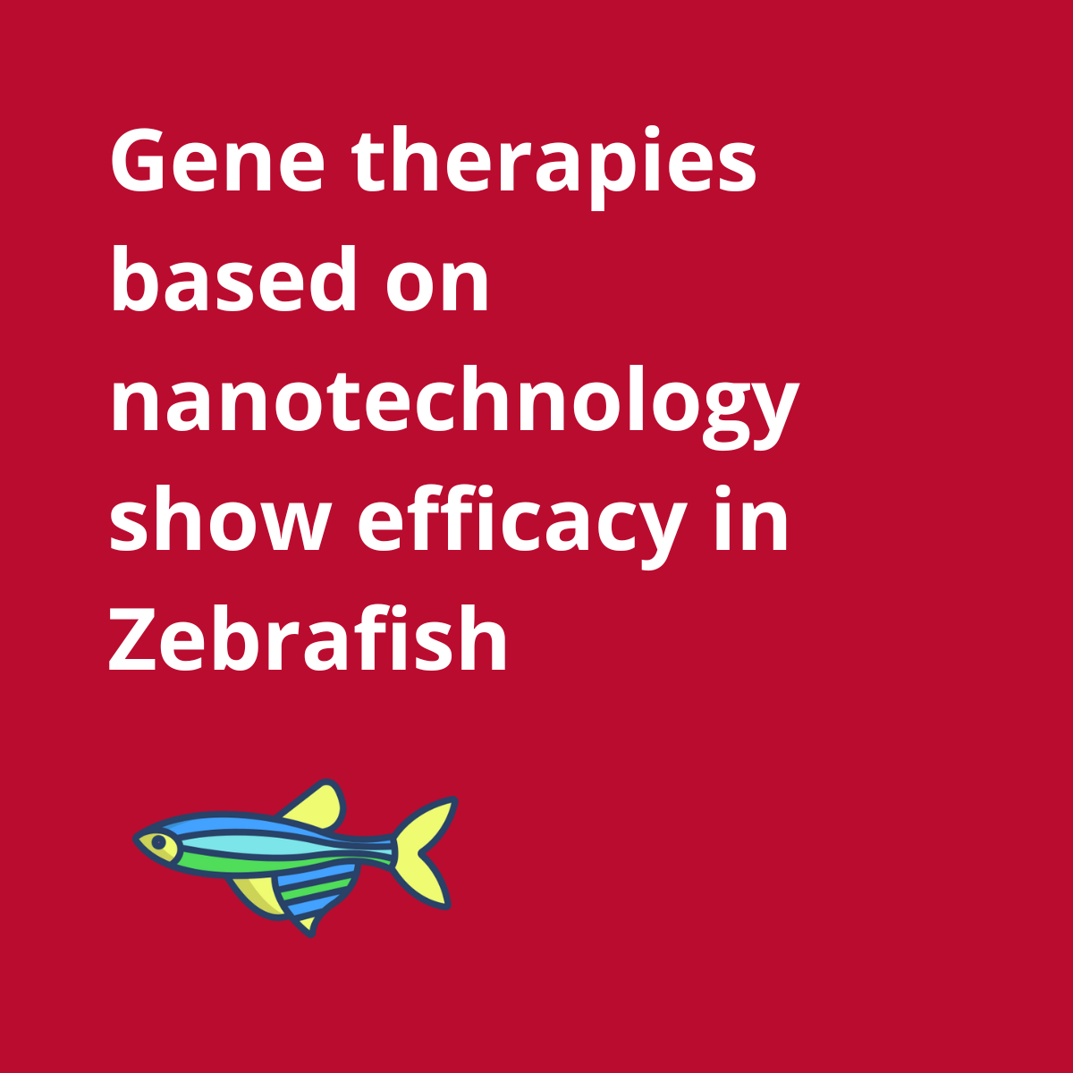 Zebrafish is an ideal in vivo model for assessing the biocompatibility, toxicity, and therapeutic efficacy of nanomedicines